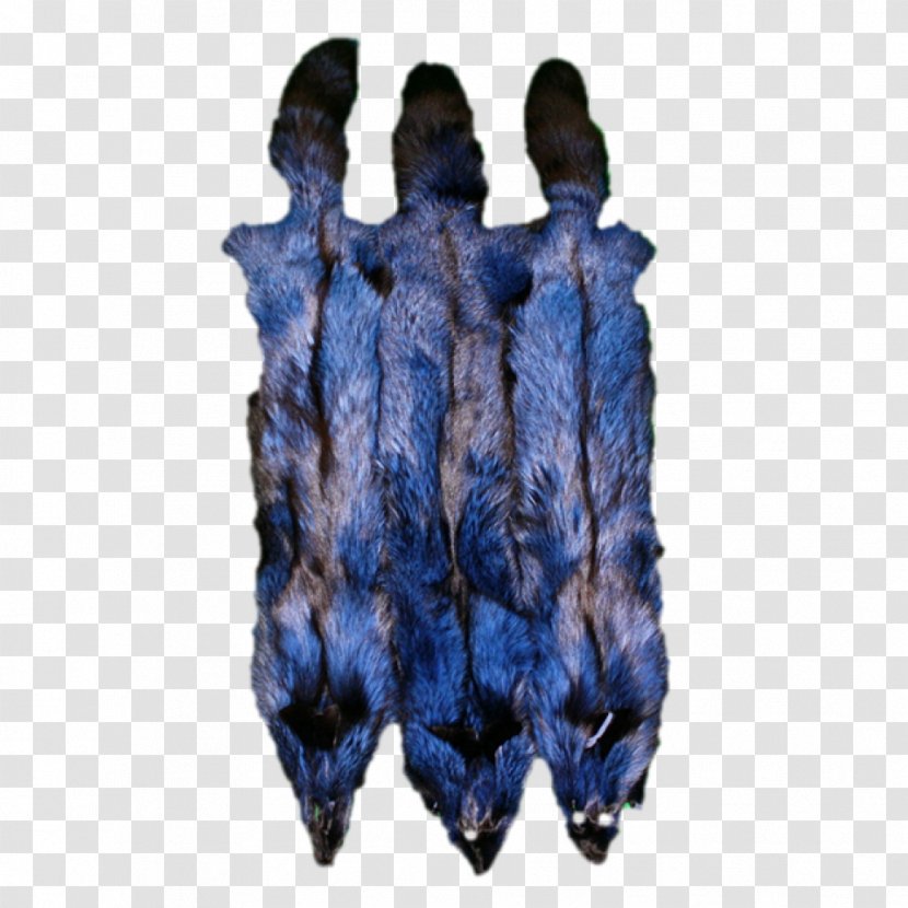 Cobalt Blue Fur - Silver Fox Transparent PNG