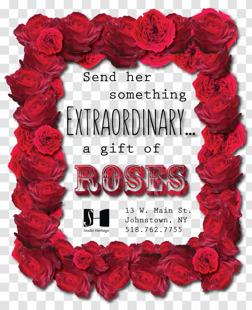Garden Roses Flower Valentine's Day Blossom - Rose Transparent PNG