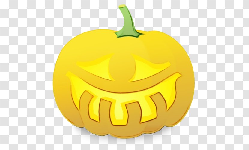 Pumpkin - Fruit - Plant Transparent PNG