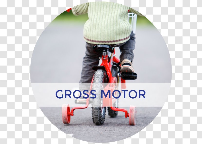 Bicycle Helmets Stock Photography Cycling - Fine Motor Skills Transparent PNG