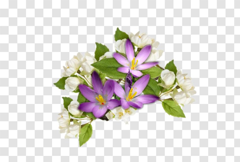 Floral Design Lilac Cut Flowers Violet - Violaceae Transparent PNG