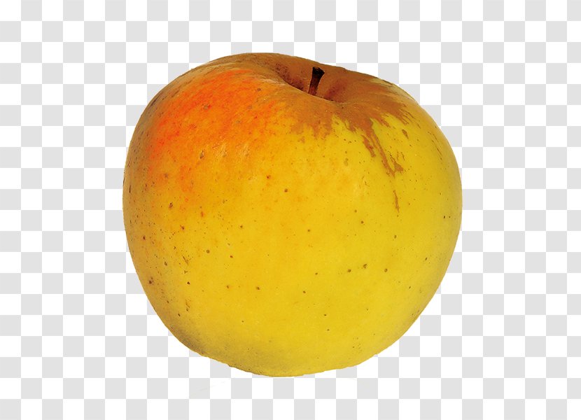 Apple Cucurbita Winter Squash Gala Trébas - Yellow - Pomme Transparent PNG
