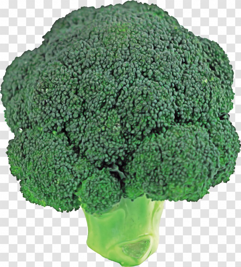 Vegetables Cartoon - Kale - Brassica Transparent PNG