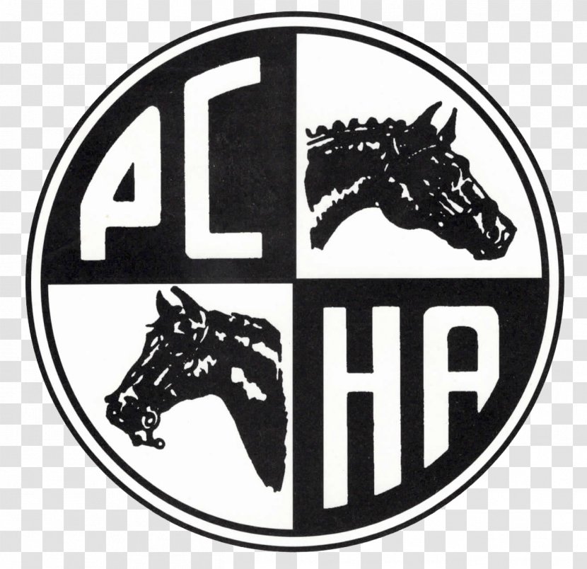 Pacific Coast Horse Shows Association Equestrian United States Hunter/Jumper - Federation - Horsemanship Transparent PNG