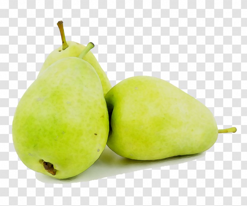 Asian Pear Fruit Juice Food - Accessory - Plant Transparent PNG