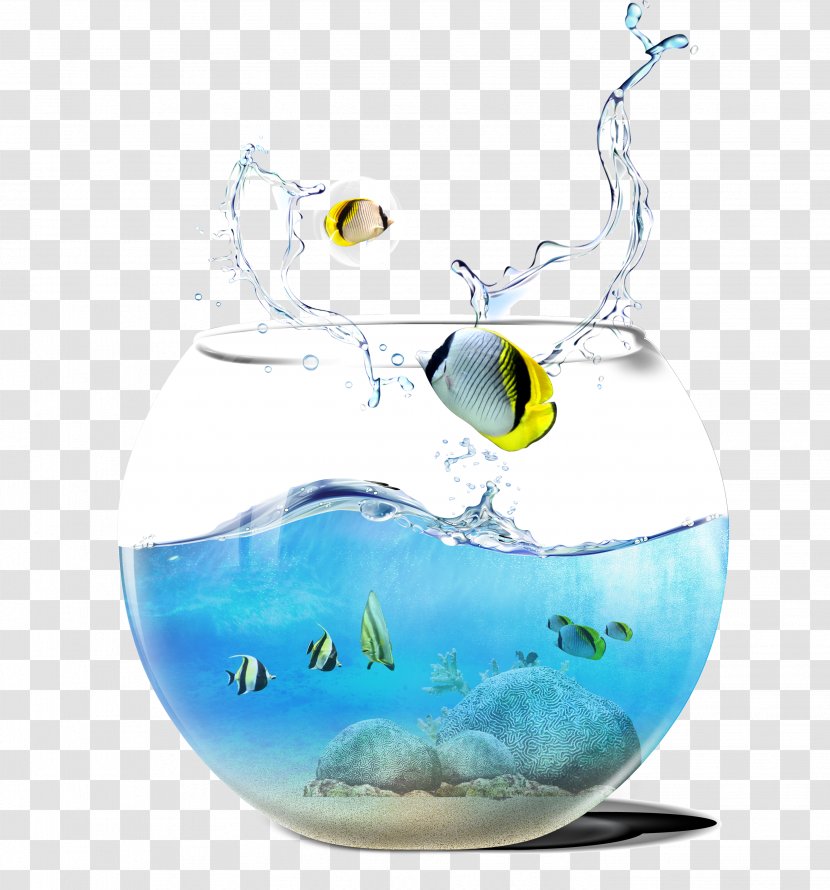 Aquarium - Fish - Cutlass Tank Transparent PNG
