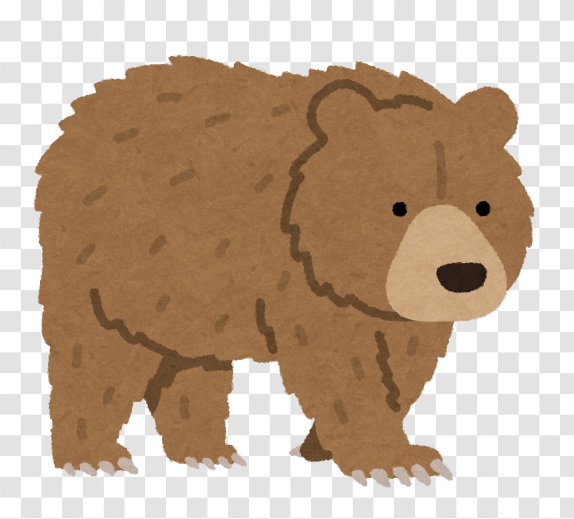 Ussuri Brown Bear クマにあったらどうするか アイヌ民族最後の狩人 姉崎等