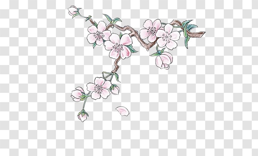 Cherry Blossom - Petal Transparent PNG