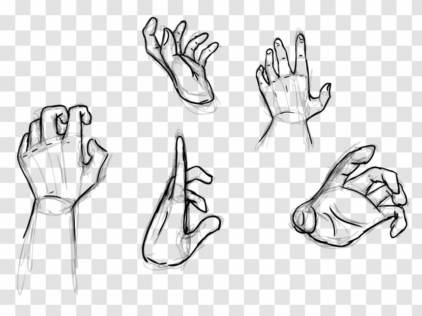 Thumb Drawing DeviantArt Sketch - Frame - Grasping Hand Transparent PNG
