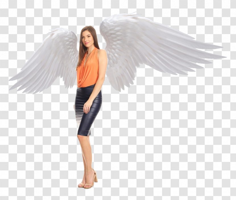 ISTX EU.ESG CL.A.SE.50 EO Angel M - Feather Transparent PNG