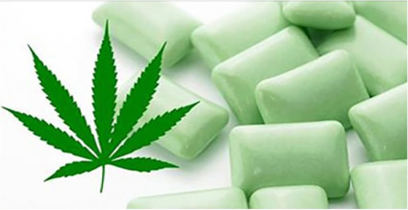 Chewing Gum Cannabis Fibromyalgia Pain Management - Alternative Medicine Transparent PNG