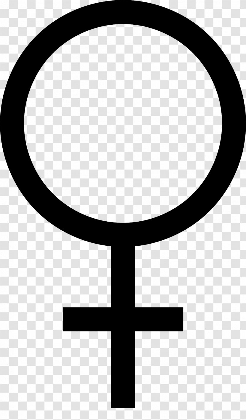 Gender Symbol Clip Art Women Female - Area - Clipart Transparent PNG