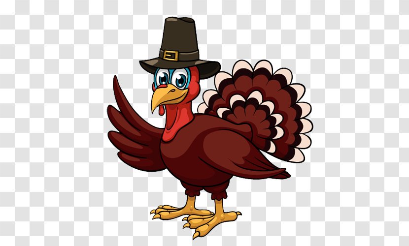 Turkey Thanksgiving Cartoon - Beak - Chicken Headgear Transparent PNG