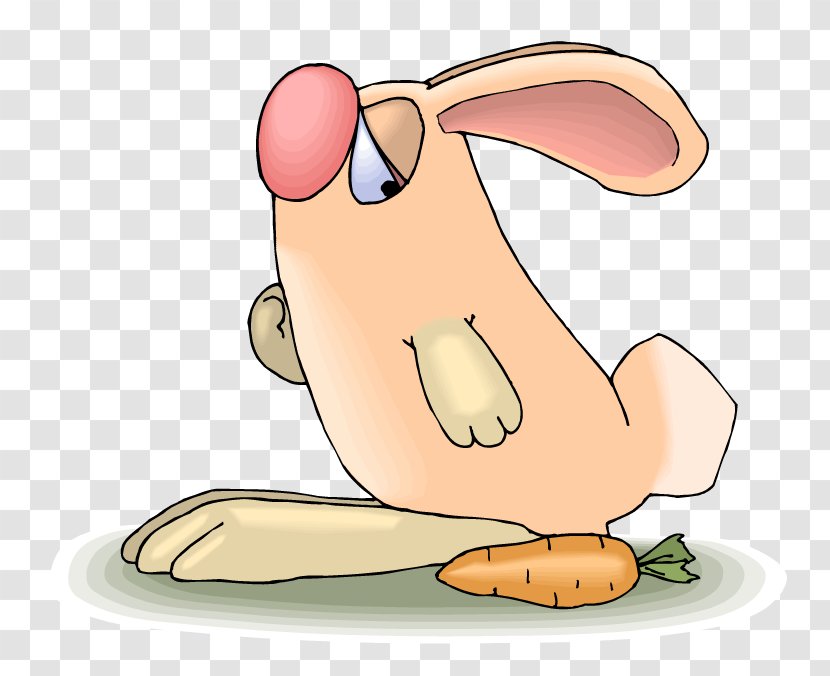 Carrot Rabbit Clip Art - Frame - Children Transparent PNG