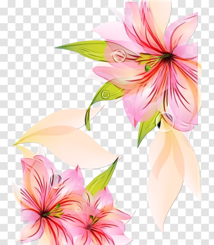 Flower Lily Vector Graphics Image Design - Stargazer - Plants Transparent PNG