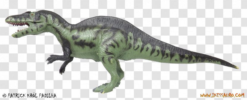 Tyrannosaurus Velociraptor Dilophosaurus Theropods Dinosaur - Organism Transparent PNG