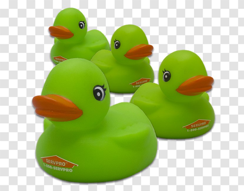 Rubber Duck Natural Baths Toy - Bird Transparent PNG