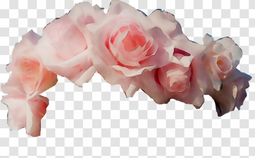 Garden Roses - White - Rose Order Plant Transparent PNG
