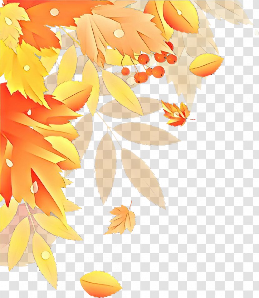 Orange - Leaf - Plant Autumn Transparent PNG