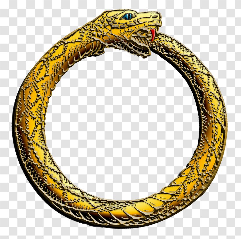 Mirror - Reptile - Bangle Transparent PNG