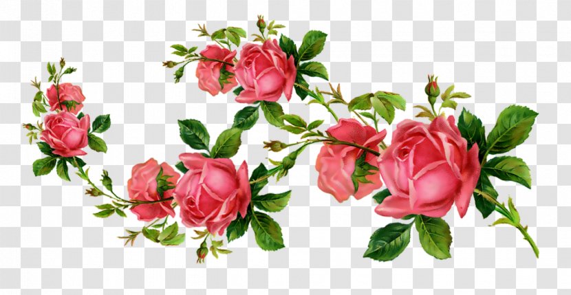 Flower Clip Art - Adobe Systems Transparent PNG