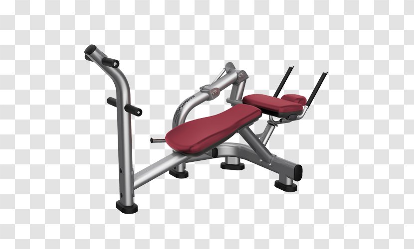 Bench Crunch Exercise Equipment Fitness Centre - Overhead Press - Dumbbell Transparent PNG