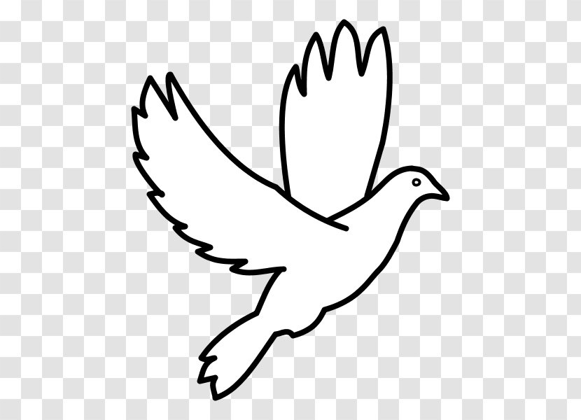 Chicken Bird Duck Columbidae Symbol Transparent PNG