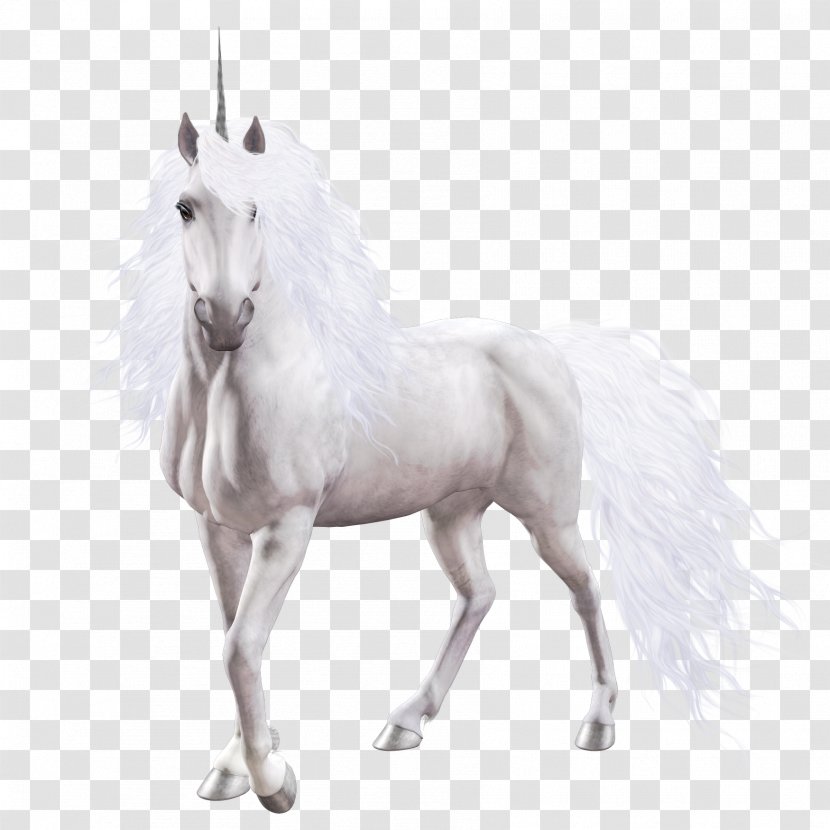 Unicorn Horse Clip Art - Legendary Creature Transparent PNG