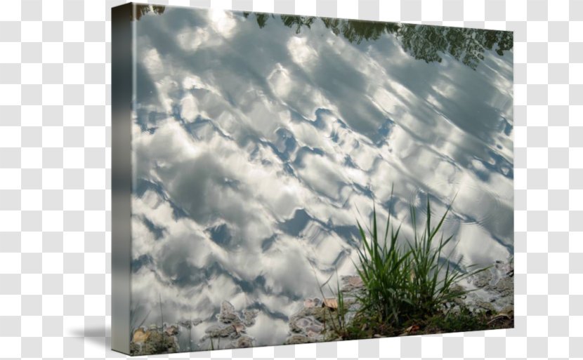 Stock Photography Picture Frames Sky Plc - War Transparent PNG