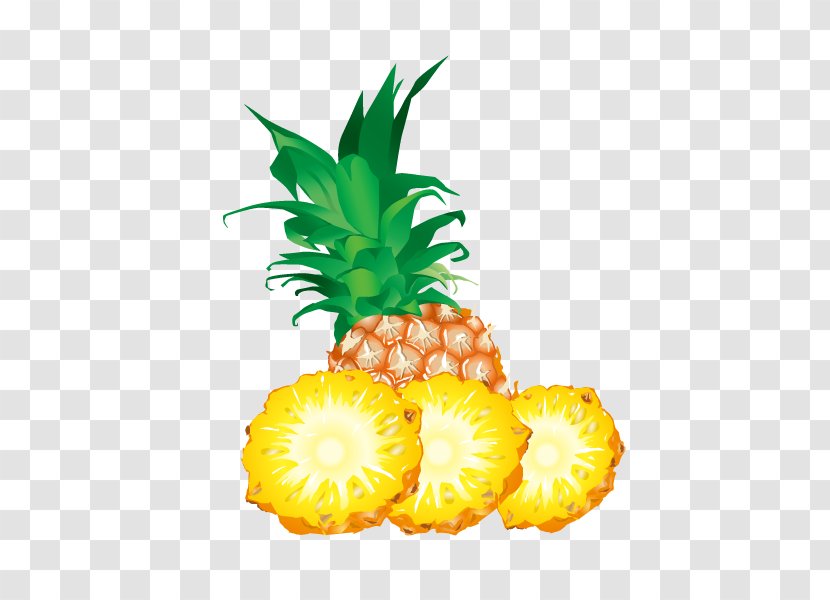 Pineapple Fruit Clip Art - Free Content Transparent PNG