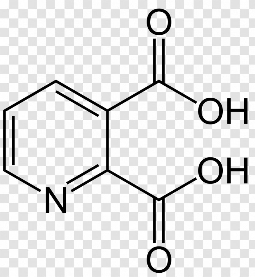 Lactic Acid Carboxylic Phthalic Amino - Dicarboxylic Transparent PNG