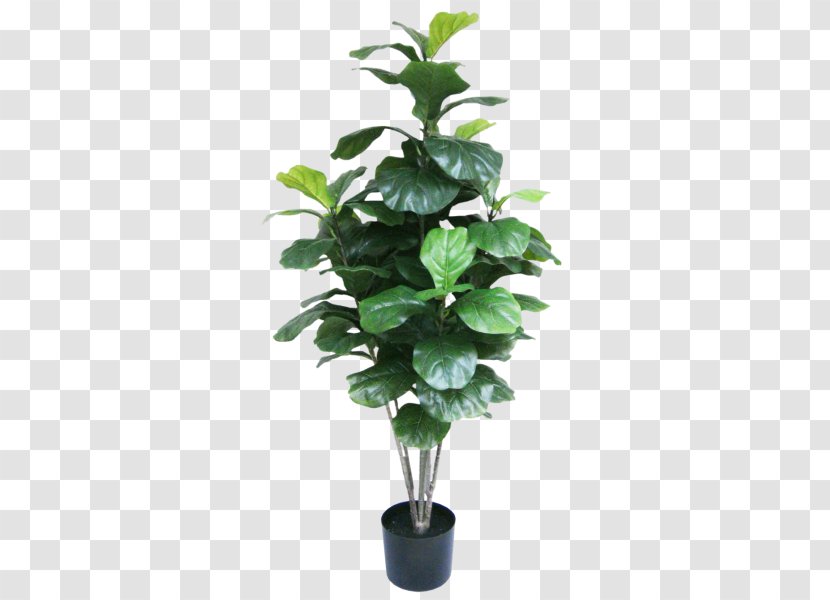 Houseplant Monstera Ornamental Plant Flowerpot - Fiddle Leaf Transparent PNG