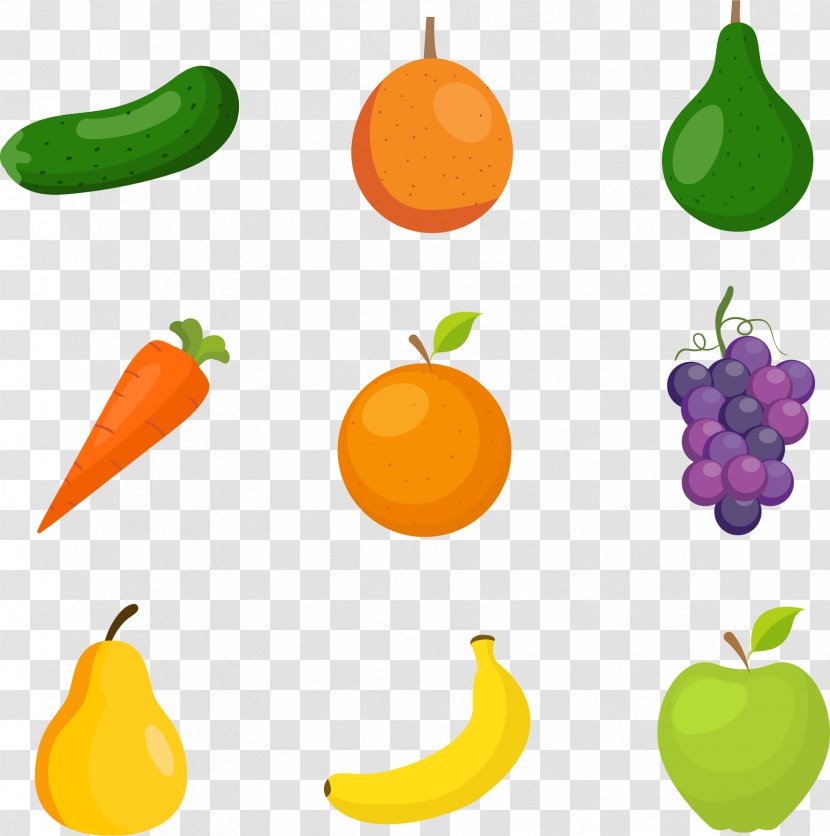 Vegetable Euclidean Vector Fruit - Orange - Colorful Transparent PNG