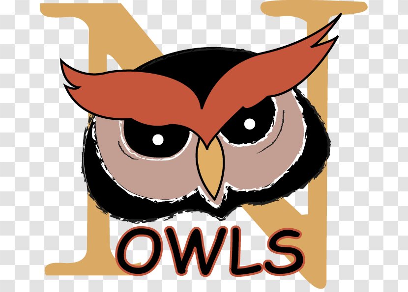 Owl National Primary School Clip Art - Principal Cliparts Transparent PNG