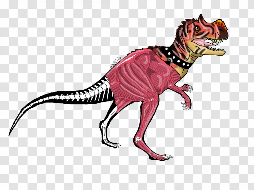 Drawing Tyrannosaurus Giganta Human Skeleton - Extinction - Animal Figure Transparent PNG