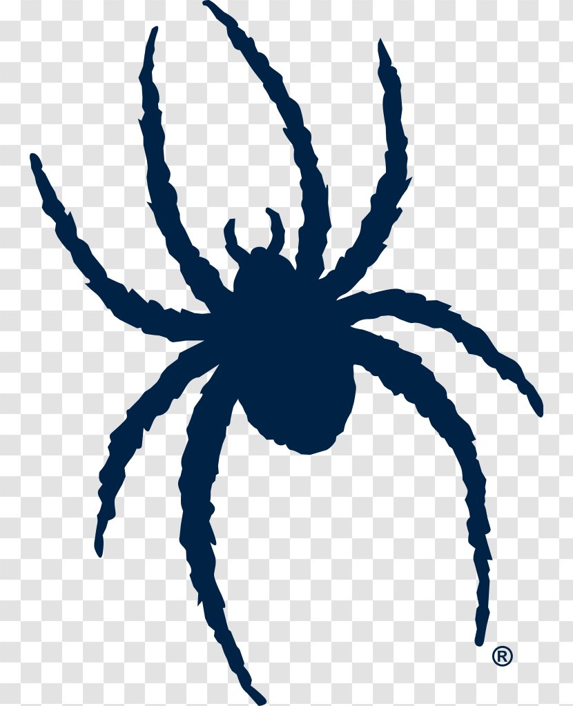 Robins Center UR Spider Shop And University Bookstore Richmond Spiders Football Mens Basketball Baseball - Ur - Red Pictures Transparent PNG