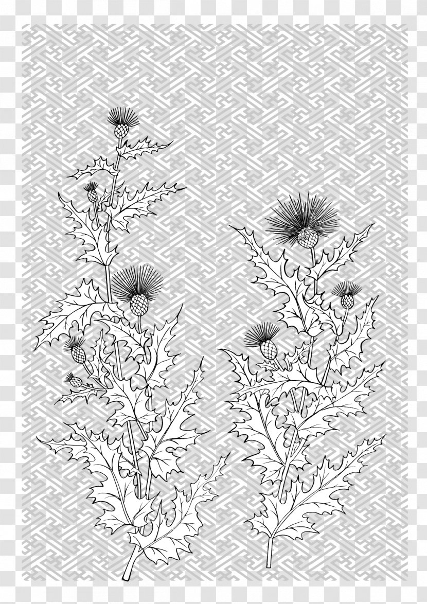 Flower Line Plant - Black And White - Japanese Drawing Of Flowers Vector Material Transparent PNG
