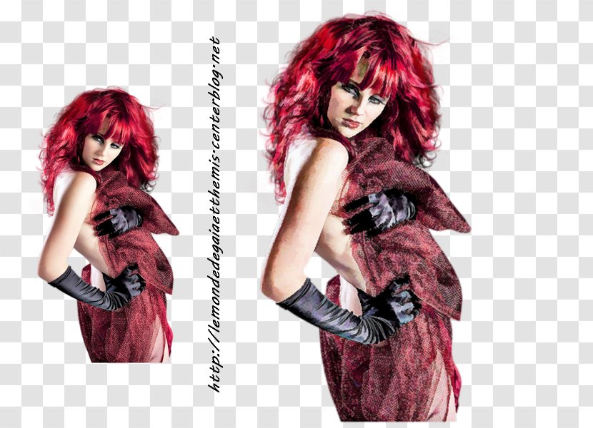 Wig Black Hair Red Brown - Costume - Femme Dessin Transparent PNG