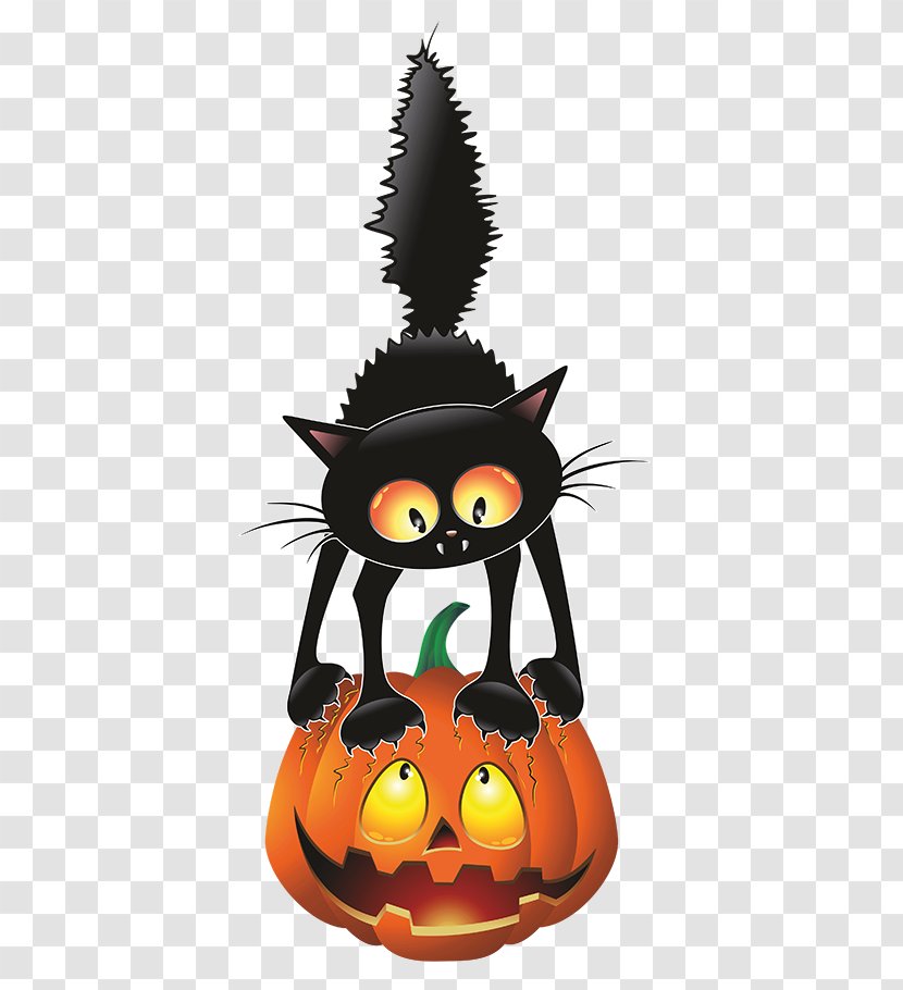 Halloween Cat Drawing - Witch - Jackolantern Plant Transparent PNG
