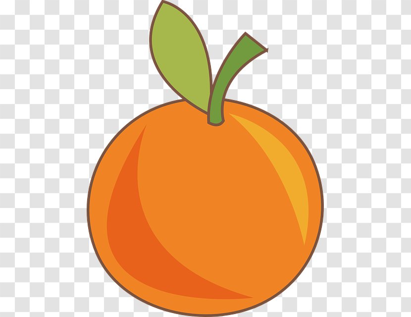 Orange Juice Drawing - Mandarin - Frutas Transparent PNG