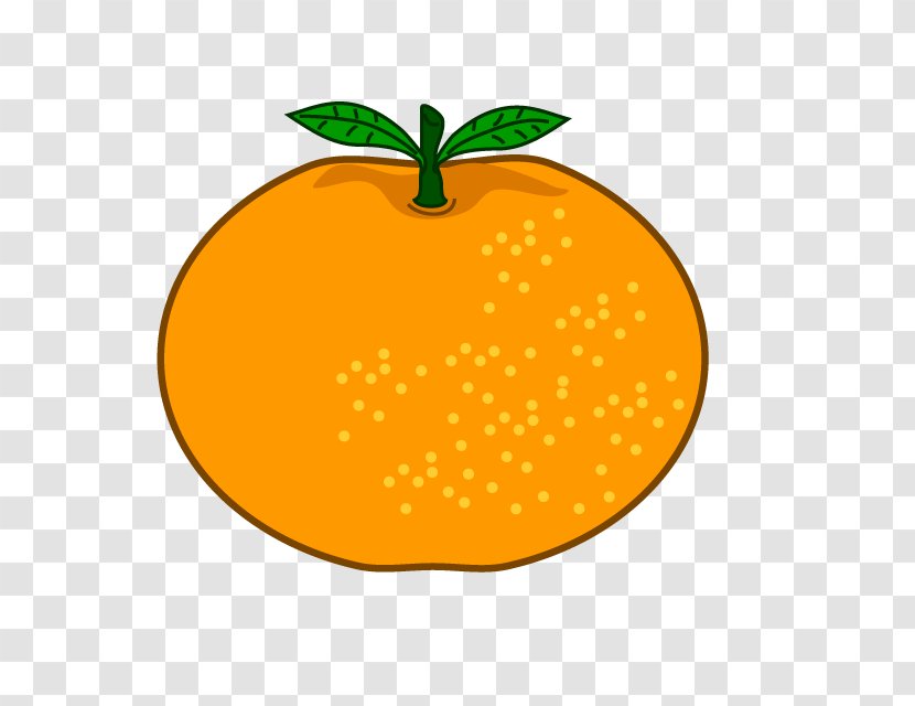 Mandarin Orange Clip Art Citrus × Sinensis Fruit - Royaltyfree Transparent PNG