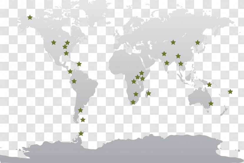 World Map Vector Globe - Nature Conservation Transparent PNG
