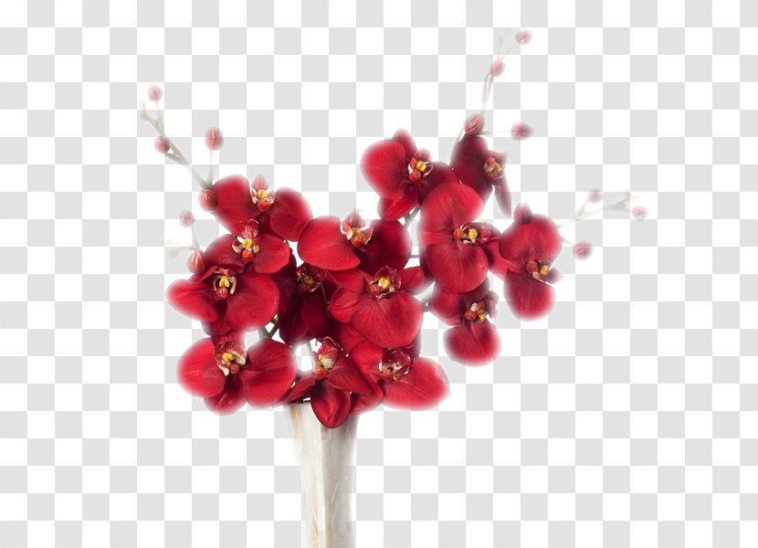Flower Bouquet Bokmärke Clip Art - Cut Flowers Transparent PNG