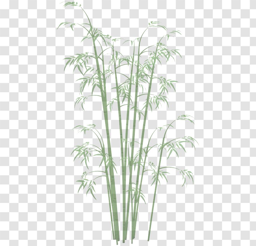 Plant Flower Grass Flowering Family - Flowerpot - Tree Terrestrial Transparent PNG