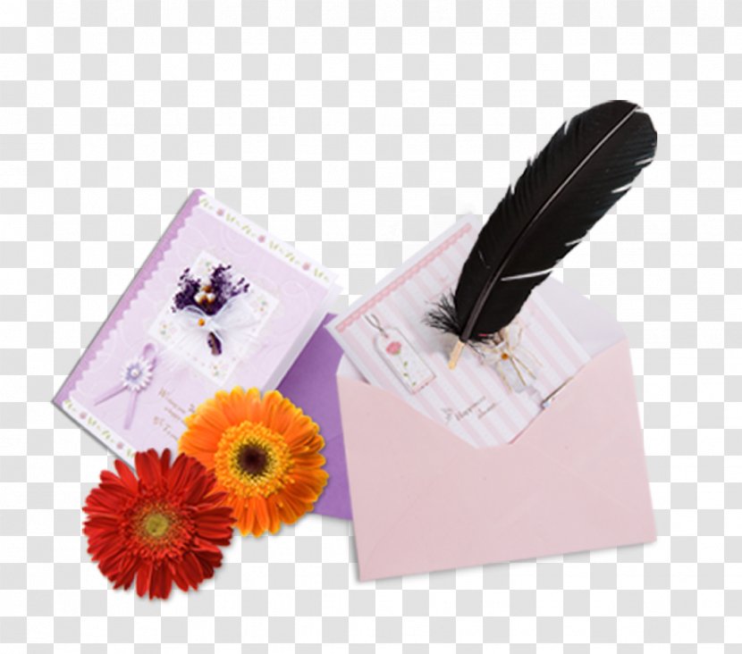 Paper Envelope Pen Feather - Black - And Envelopes Transparent PNG