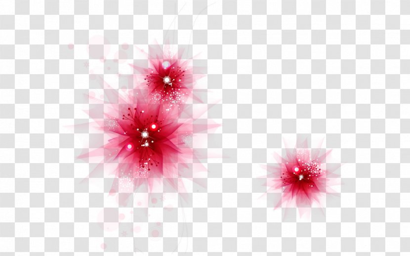 Light Desktop Wallpaper - Petal - Flower Background Transparent PNG