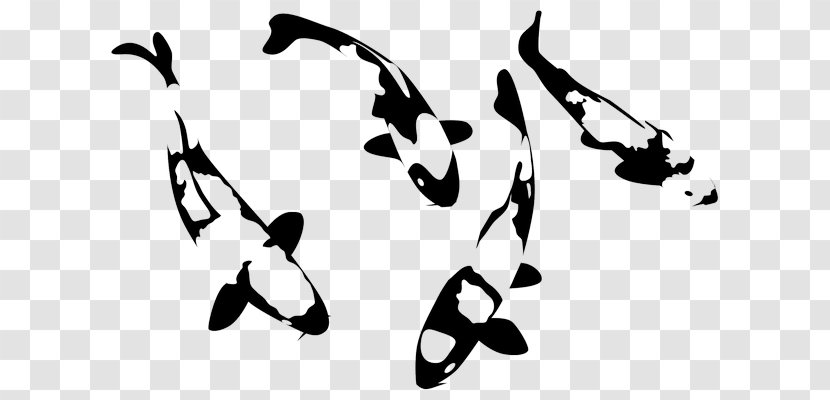 Mammal Desktop Wallpaper Clip Art - Black M - Chinese Koi Transparent PNG