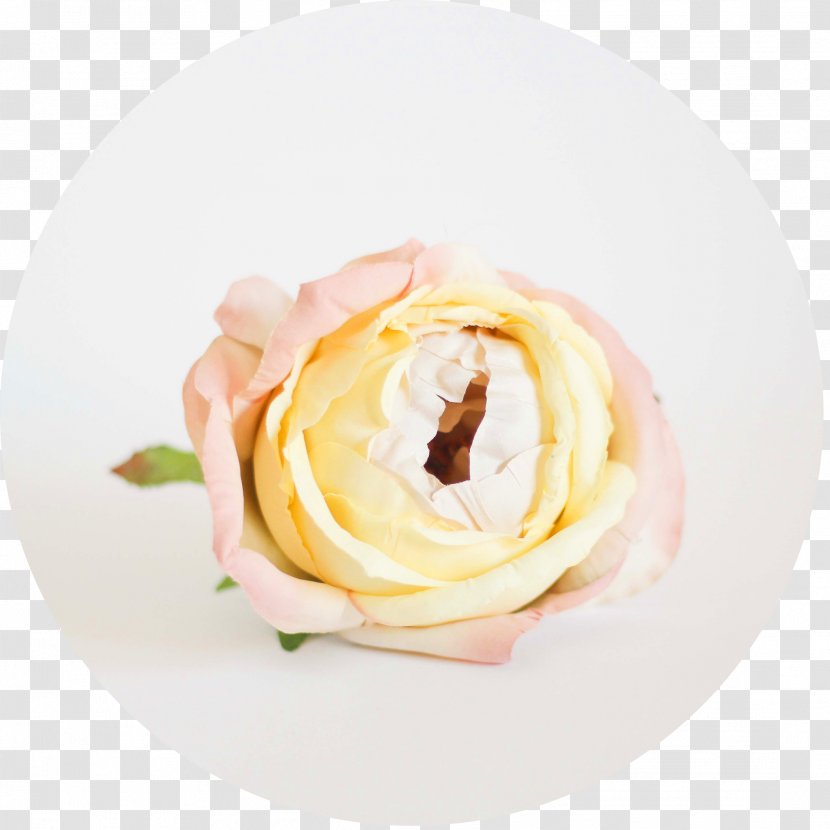 Ice Cream Paeoniaceae Yellow Green Cake - Finger Food Transparent PNG