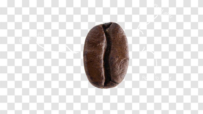 Fur - Specialty Coffee Transparent PNG