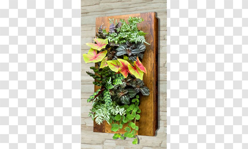 Green Wall Flowerpot Garden Picture Frames - Plant Transparent PNG